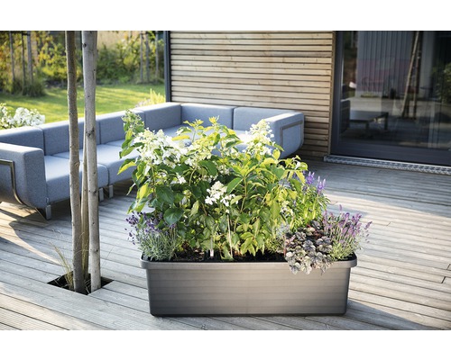 Květináč s rostlinami na terase s posezením