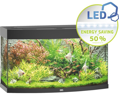 Akvárium s rybami a rostlinami