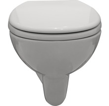 Závěsný klozet s hlubokým splachováním z sanitární keramiky s WC sedátkem