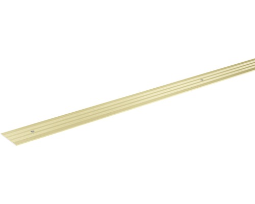 Přechodová lišta Skandor šroubovací 900 x 29 x 2 mm champagne Přechodový profil pro podlahové krytiny se šrouby