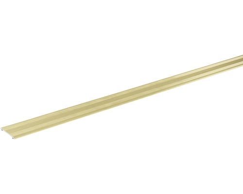 Přechodová lišta Skandor samolepicí 900 x 28 x 2 mm champagne Profilová lišta z hliníku