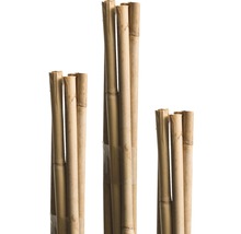 Bambusová tyč k rostlinám 90 cm Ø 6 mm 10 ks-thumb-0