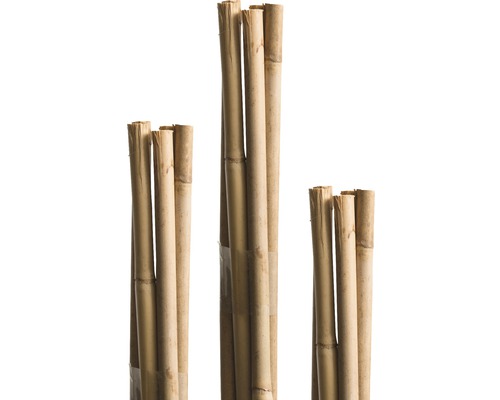 Bambusová tyč k rostlinám 120 cm Ø 8 mm 10 ks