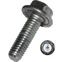 Šroub s rohatkovým límcem bez stopky M6x16 mm galvanicky pozinkovaný kalený, 50 kusů