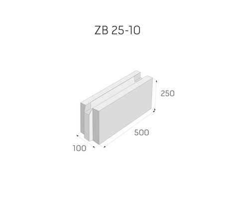 Obrázek tvárnice o rozměrech 500 x 250 x 100 milimetrů.