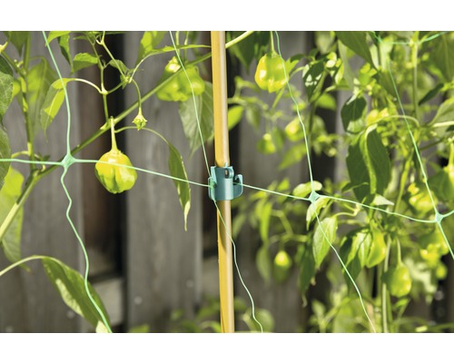 Síť na podporu rostlin s bambusovou tyčí a upevňovacím klipem pro podporu rostlin