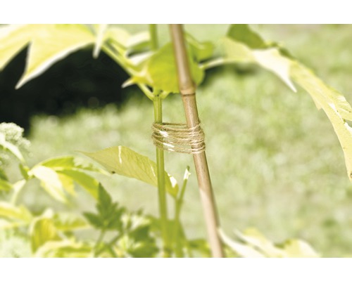 Bambusová podpěra rostlin s jutovým provázkem k připevnění k rostlině