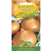 Semena cibule odrůdy Stuttgarter Stuttgarter
