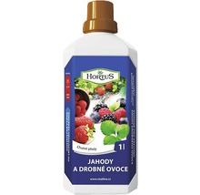 Hnojivo pro jahody a drobné ovoce Hortus 1 l