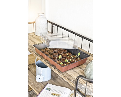 Sadbovací box se sadbovacími květináči a průhledným víkem na polici