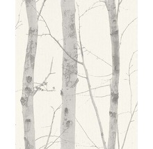 Tapeta s motivem břízy