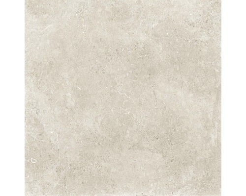 Dlažba StoneCreek 40 Grigio 60x60 cm