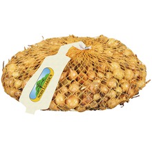 Síť s cibulí k výsadbě