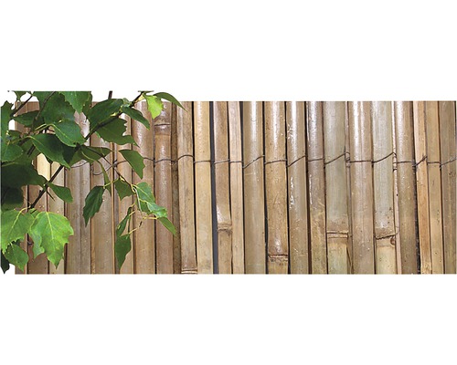 Bambusová rohož štípaná přírodní 1,5 x 5 m