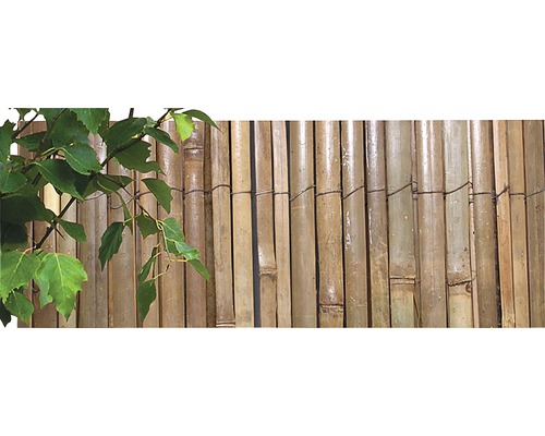 Bambusová rohož štípaná přírodní 2 x 5 m