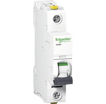 Jistič Schneider Electric iC60N