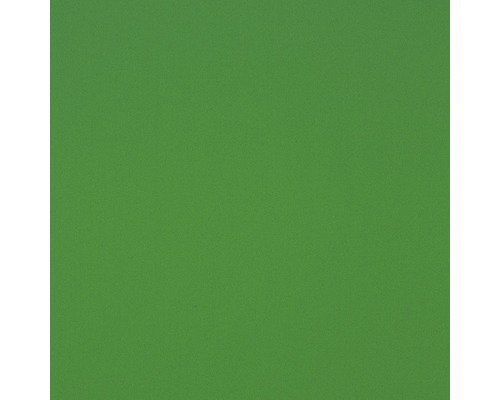Plastová deska GUTTA Hobbycolor z tvrdé pěny 500 x 500 x 3 mm hladká, zelená