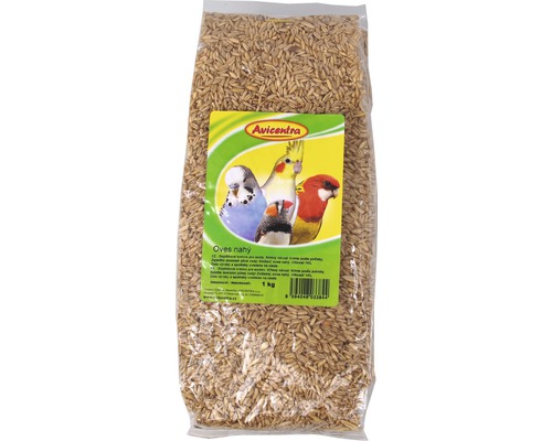 Doplňkové krmivo pro exotické ptactvo AVICENTRA Oves loupaný 1 kg Balení krmiva pro ptáky s nahým ovsem