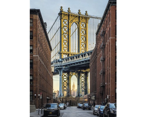 Fototapeta vliesová XXL2-013 New York Brooklyn 2dílná 184x248 cm