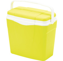 Chladicí box s rukojetí