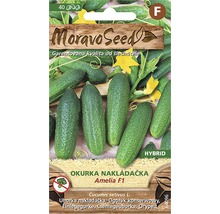 Balení semen okurky Amelia F1 od Moravo Seed