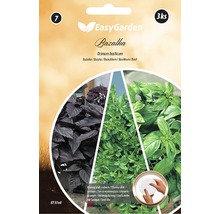 EasyGarden semínkový disk bazalky, Ocimum basilicum