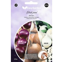 Výsevný pásek jarní cibule EasyGarden, odrůda Grenada, Tandem a Avalon