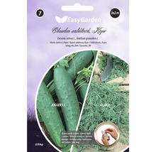 Balíček semen pro salátové okurky a kopr