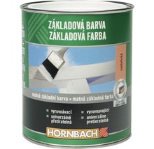 Základní barva v plechovce