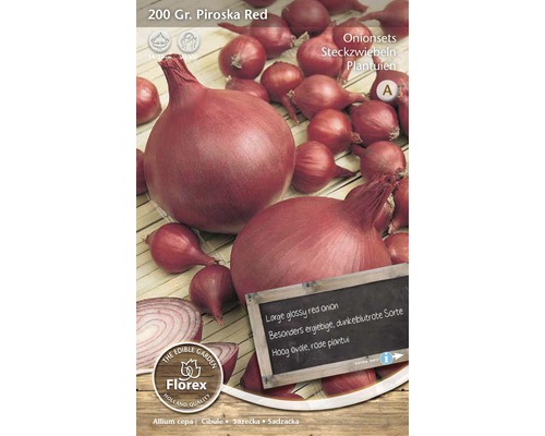 Sazečka cibule Piroska Red 200 gramů
