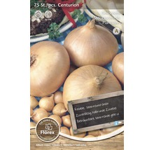 Sazečka cibule Centurion, 75 kusů