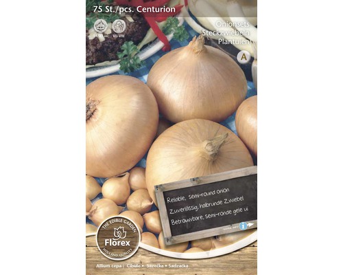 Sazečka cibule Centurion, 75 kusů