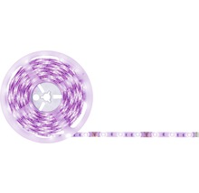 LED pásek na roli