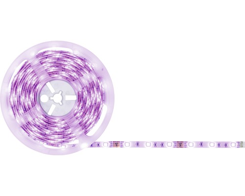 LED pásek na roli