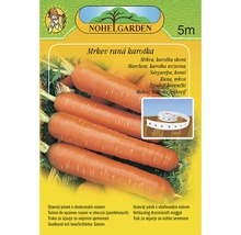 Pásek se semeny mrkve