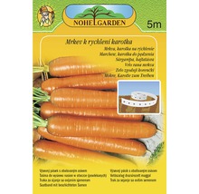 Pásek semen mrkve pro ranou sklizeň