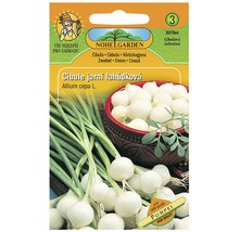 Balení sazenic cibule Nohelgarden