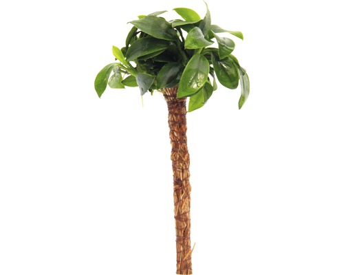 Vodní rostlina Bonsai palma s Anubias nana ´Bonsai´ Umělý bonsaj se zelenými listy a hnědým kmenem pro dekorativní účely