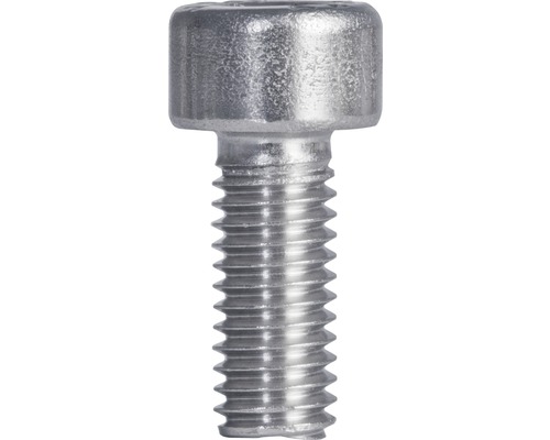 Šroub s čočkovitou hlavou z kovu