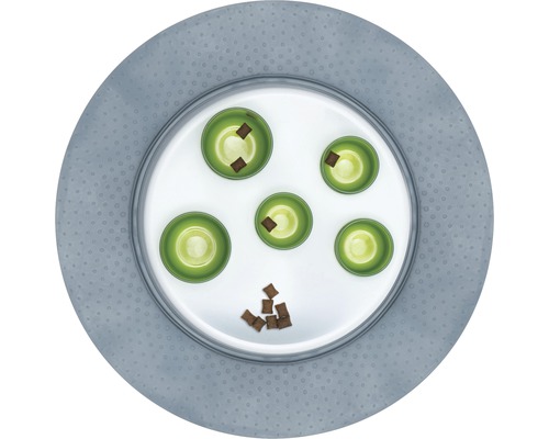 Interaktivní hračka pro psy s krmivem