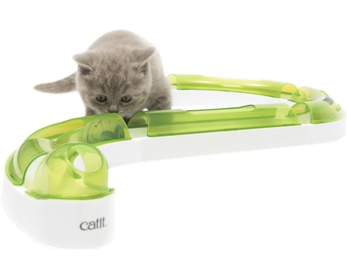 Šedá kočka si hraje s hračkou pro kočky