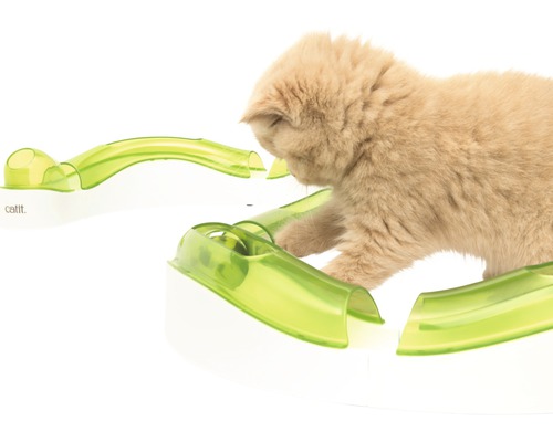 Kočka si hraje s interaktivní hračkou pro kočky na bílém povrchu