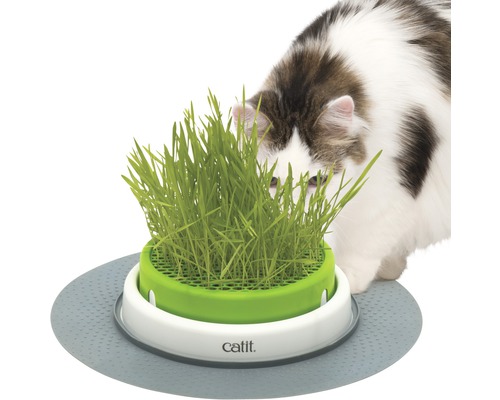 Miska pro kočky na trávu Catit Senses 2.0 Grass Planter