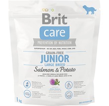 Granule pro psy Brit Care Superpremium Junior Large Breed Salmon & Potato 1 kg-thumb-2