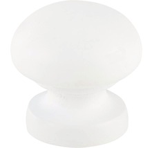 Dřevěný nábytkový knoflík