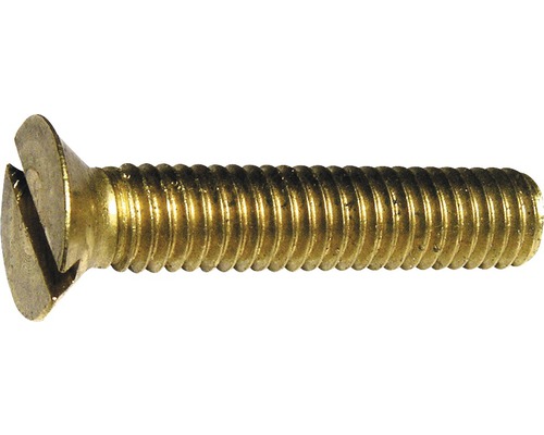 Kovový šroub s drážkou