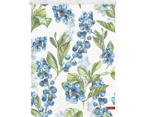 Roleta se vzorem borůvek na okna