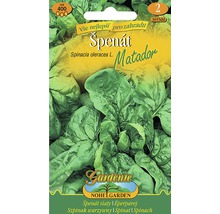 Balení semen špenátu Matador