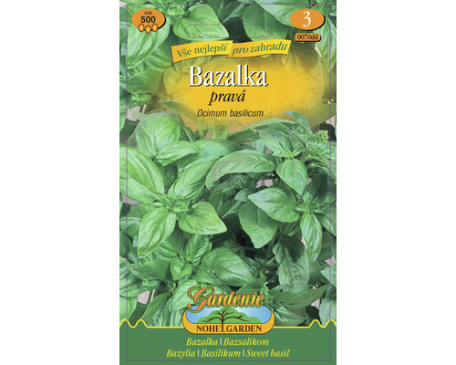 Bazalka zelená