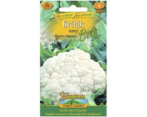 Semena květáku odrůdy Beta